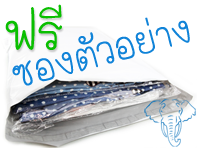 ฟรีซองไปรษณีย์ตัวอย่าง